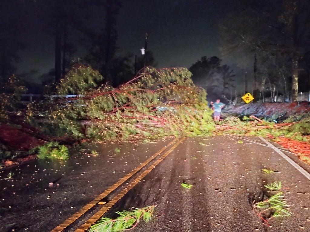 Tornado damage on CR 49 just a few miles south of Chelsea.  Major tree damage.  Some structural damage.  Farm at this location has lost their horses.