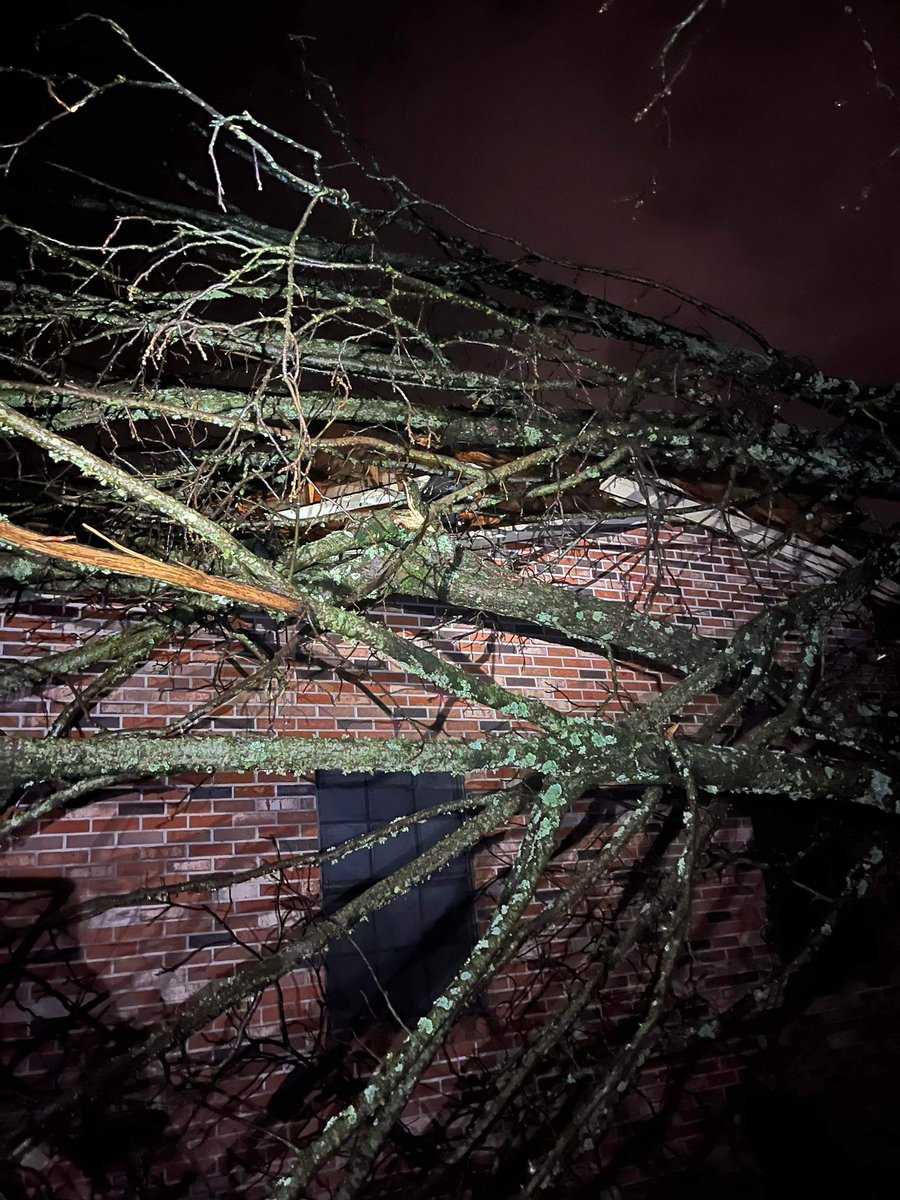 Storm damage near Hartselle photos from Jennifer Connolly